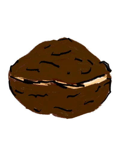 Walnut